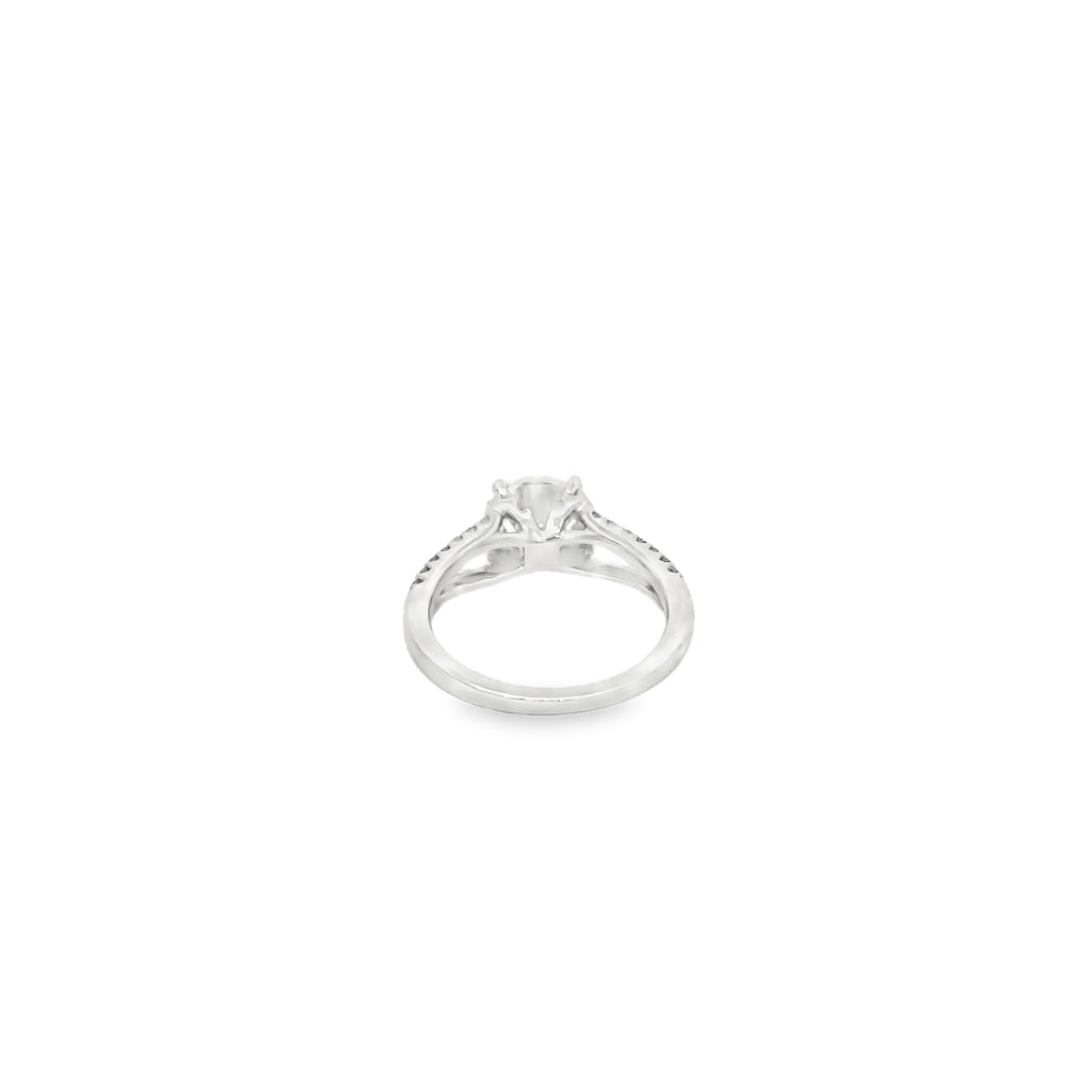 14K White Gold Engagement Ring with Split Diamond Band