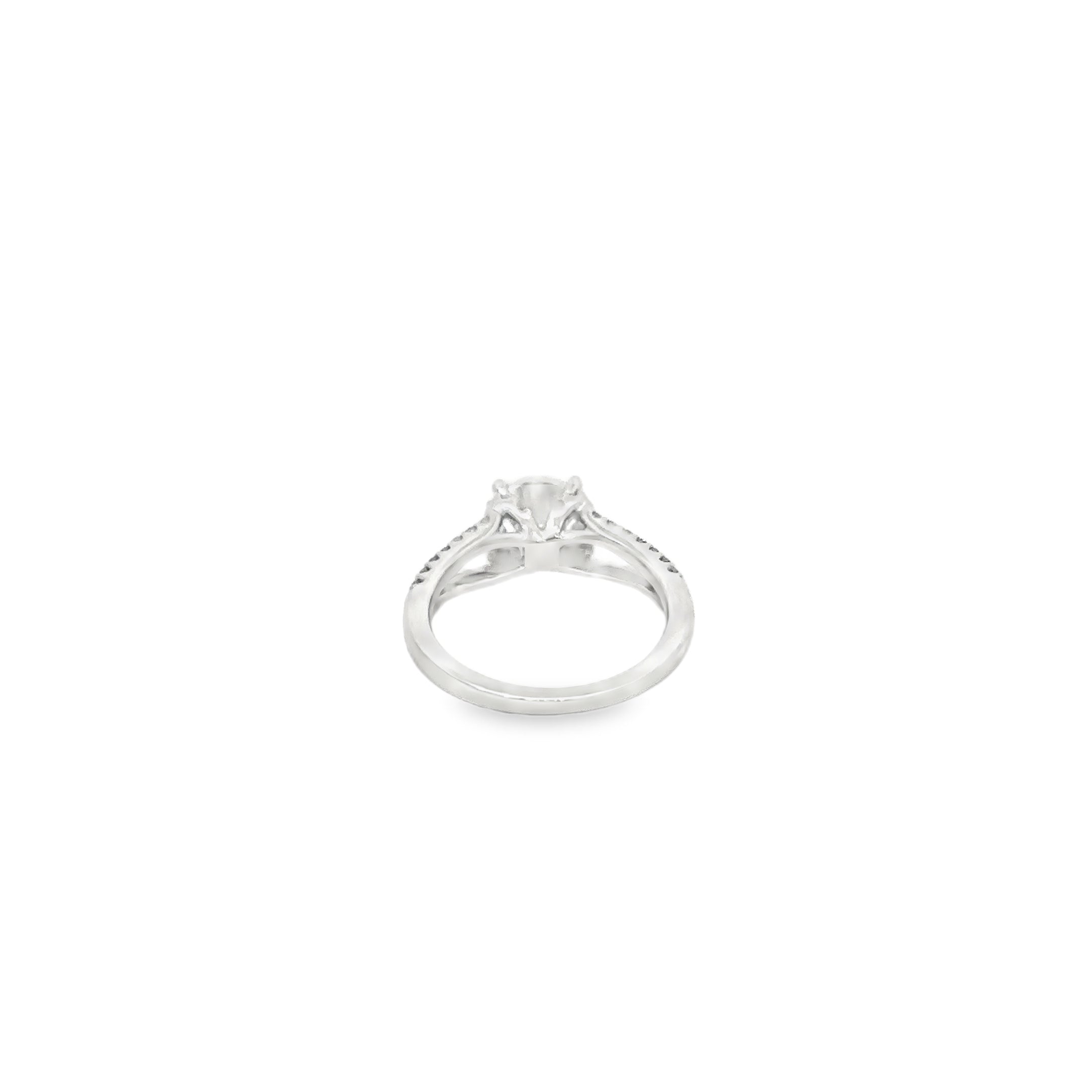 14K White Gold Engagement Ring with Split Diamond Band