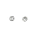 14K White Gold Princess Cut Diamond Earrings set in a Halo with Post Back